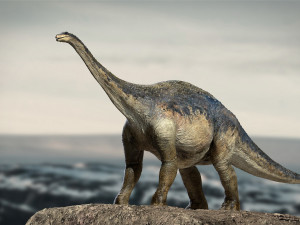 argentinosaurus rigged 3D Model