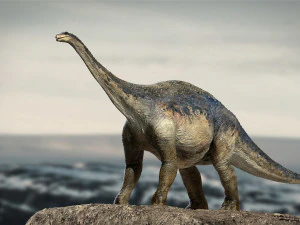 argentinosaurus rigged 3D Model