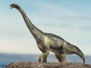 brontosaurus 3d rigged model 3D Model