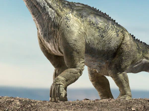 brontosaurus 3d rigged model 3D Model