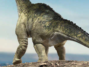 brontosaurus 3d rigged model 3D Model