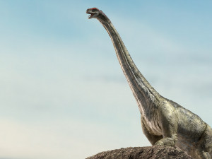 brontosaurus 3d rigged model Model 3D
