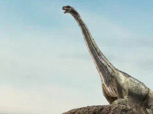 brontosaurus 3d rigged model 3D Model