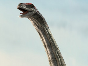 brontosaurus 3d rigged model Model 3D