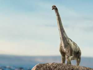 brontosaurus 3d rigged model Model 3D