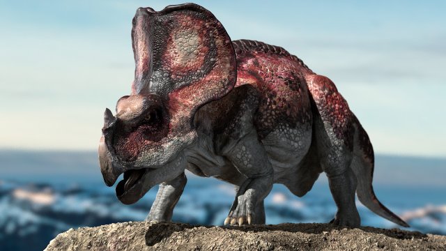 protoceratops 3d rigged 3D-Modell .c4d .max .obj .3ds .fbx .stl .blend 