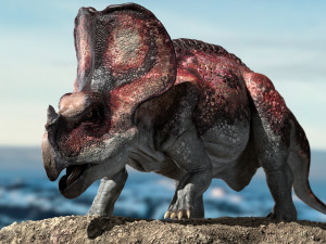protoceratops 3d rigged 3D Model