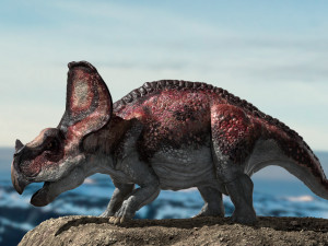 protoceratops 3d rigged 3D-Modell