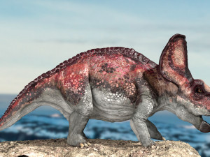 protoceratops 3d rigged 3D-Modell