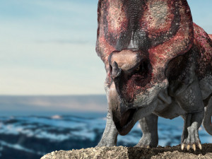 protoceratops 3d rigged 3D-Modell