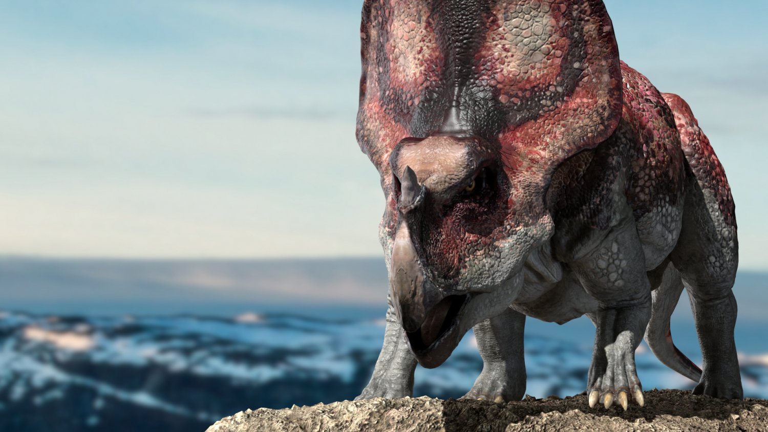Динозавр 3д. Protoceratops 3d