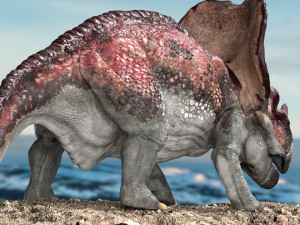 protoceratops 3d rigged 3D-Modell