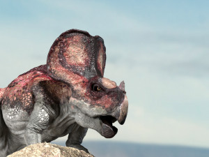 protoceratops 3d rigged 3D-Modell
