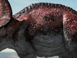 protoceratops 3d rigged 3D-Modell