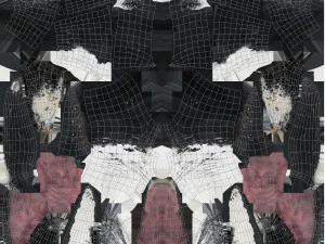 humpback whale rigged 3D Model