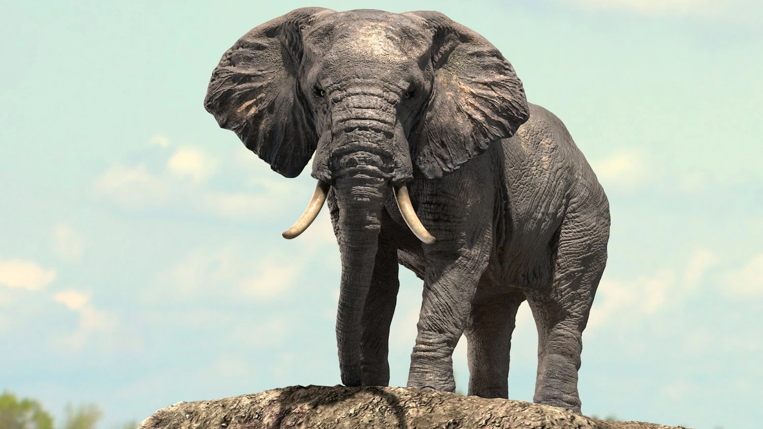 african elephant rigged model 3D Model .c4d .max .obj .3ds .fbx .stl .blend 