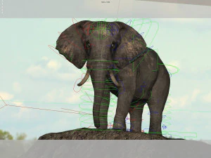 african elephant rigged model 3D Model