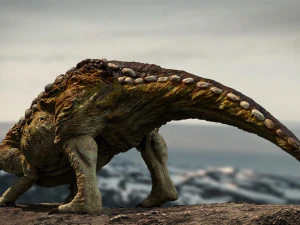 europeltasaurus 3d rigged model 3D Model