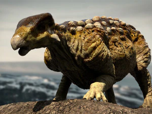 europeltasaurus 3d rigged model 3D Model