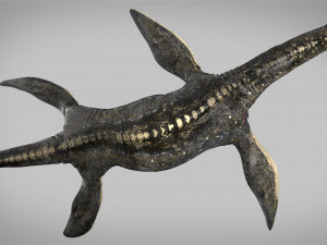 plesiosaurus 3d rigged model Model 3D
