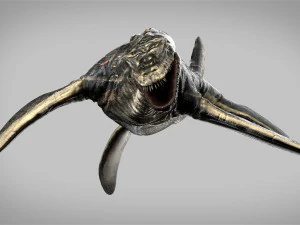 plesiosaurus 3d rigged model 3D Model