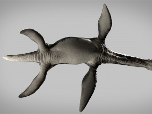 plesiosaurus 3d rigged model Model 3D