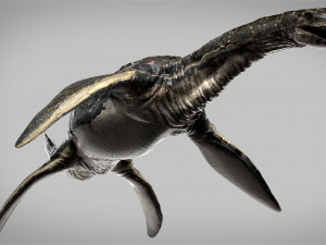 plesiosaurus 3d rigged model Model 3D