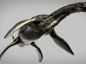 plesiosaurus 3d rigged model 3D Model