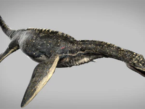 plesiosaurus 3d rigged model 3D Model