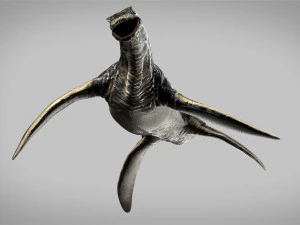plesiosaurus 3d rigged model 3D Model