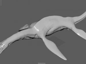 plesiosaurus 3d rigged model 3D Model