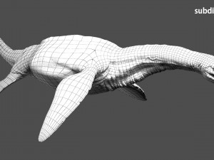 plesiosaurus 3d rigged model Model 3D