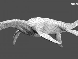plesiosaurus 3d rigged model Model 3D
