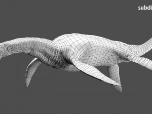 plesiosaurus 3d rigged model 3D Model