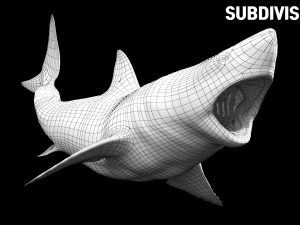 shark animated rigged model Model 3D