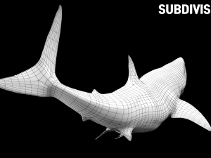shark animated rigged model Model 3D