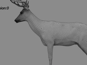deer fur rigged animated 3D Model