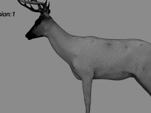 deer fur rigged animated 3D Model