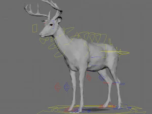 deer fur rigged animated 3D Model