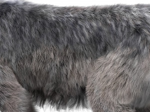 wolfanimatedrigged 3D Model