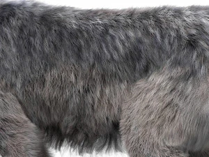 wolfanimatedrigged 3D Model