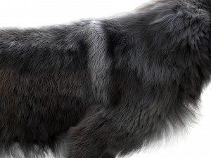 wolfanimatedrigged 3D Model