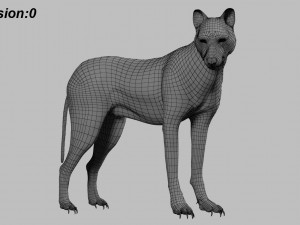 wolfanimatedrigged 3D Model