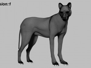 wolfanimatedrigged 3D Model