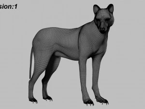 wolfanimatedrigged 3D Model