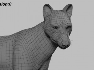 wolfanimatedrigged 3D Model