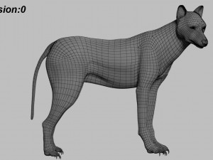 wolfanimatedrigged 3D Model