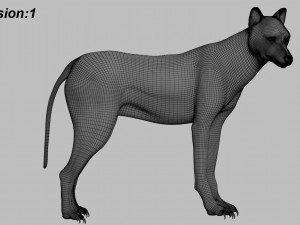 wolfanimatedrigged 3D Model