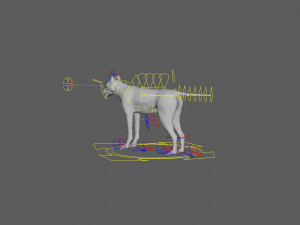 wolfanimatedrigged 3D Model