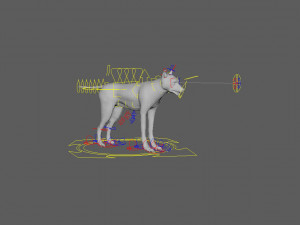 wolfanimatedrigged 3D Model